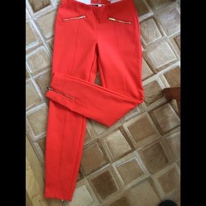 Dress pants